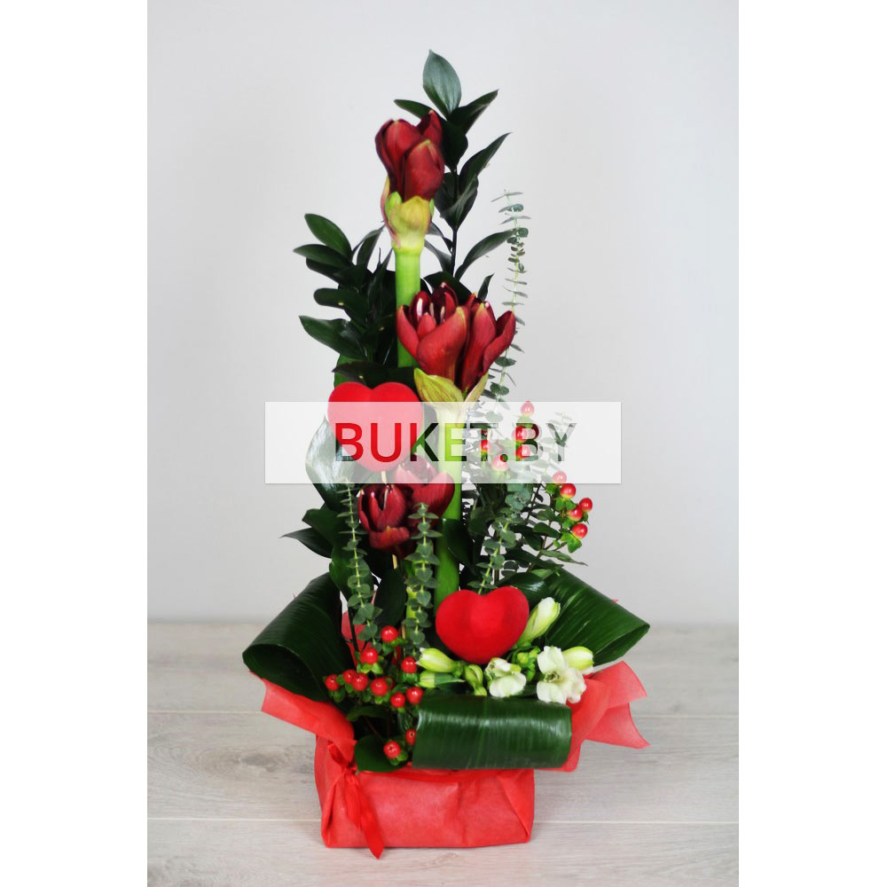 Композиция с амарилисами