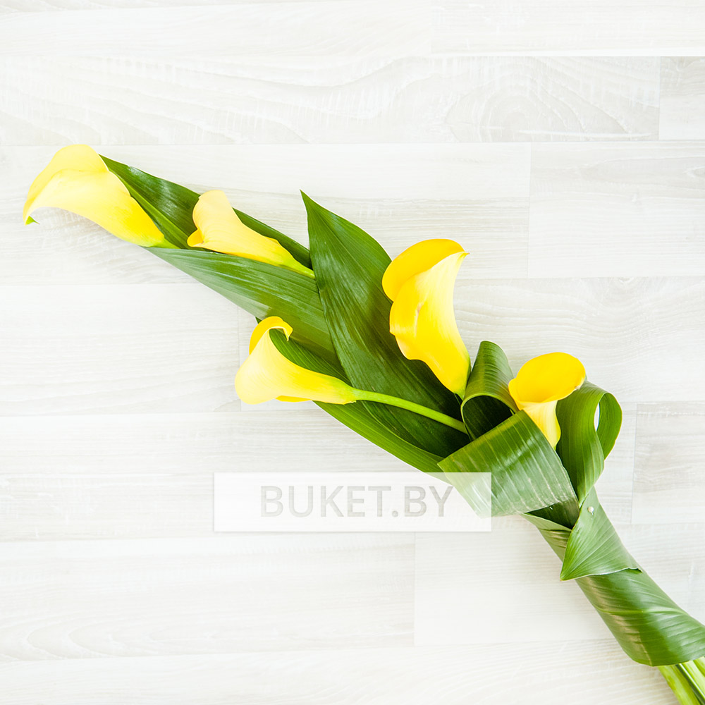 Букет из калл