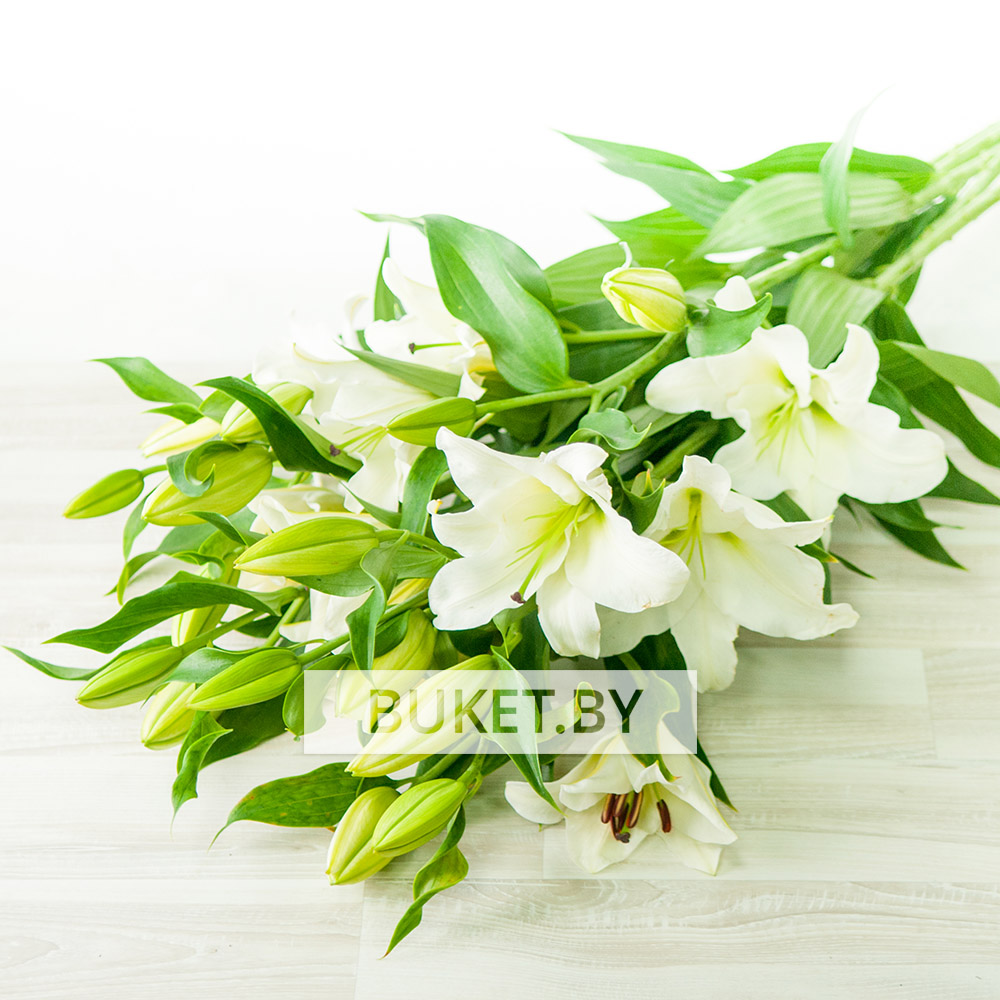 Букет из белых лилий