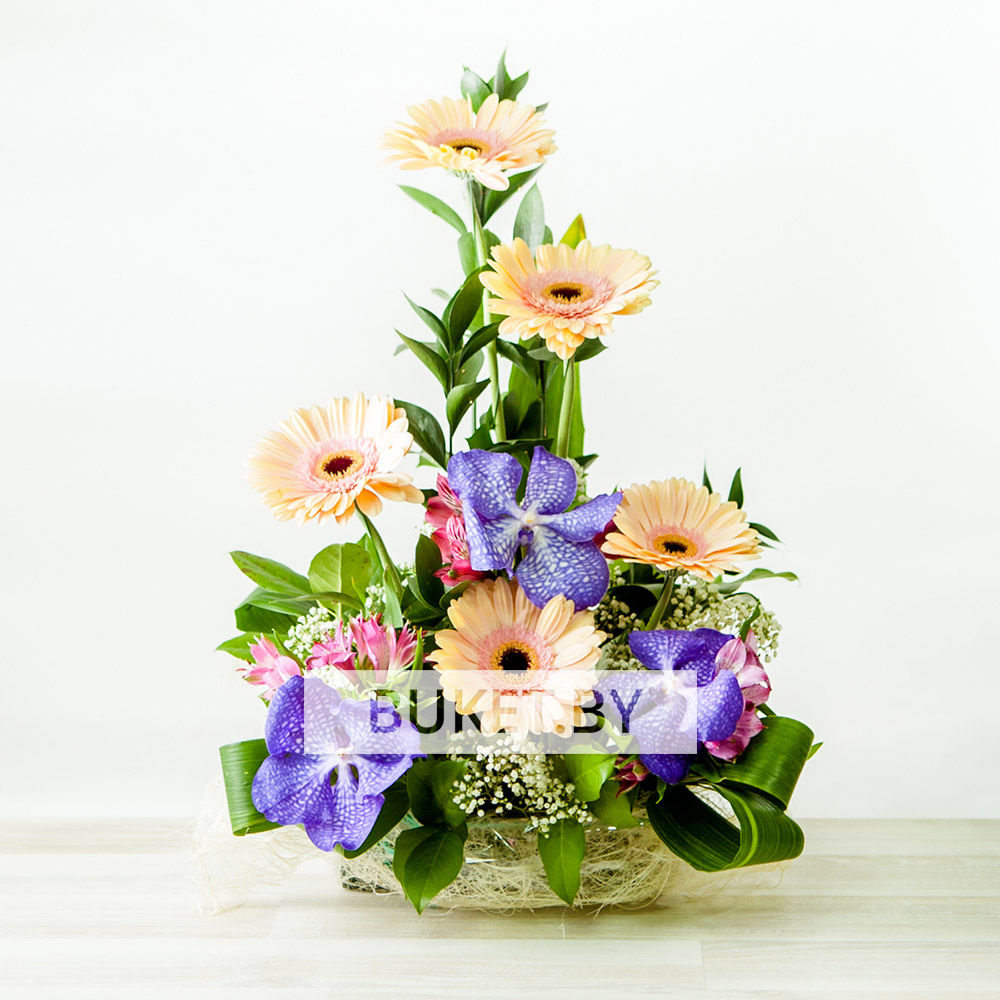 Композиция с герберой и орхидеей Ванда